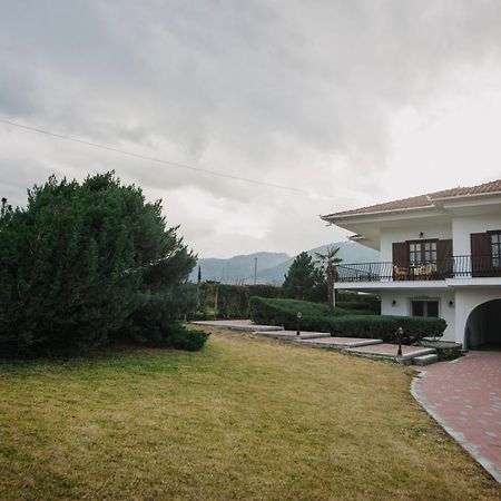 Mythic House Villa Leptokarya  Exterior foto
