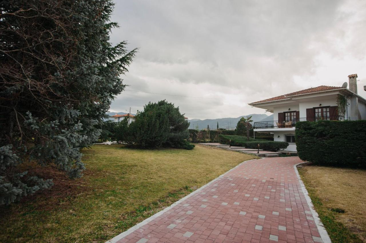Mythic House Villa Leptokarya  Exterior foto